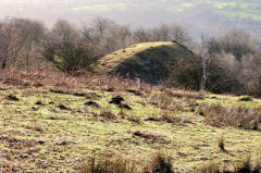Swffryd Colliery tip, January 2011